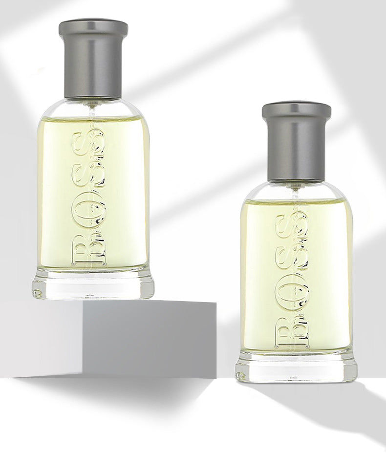 Men's Perfume 100ml